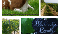 Mini-cocottes de pommes de terre