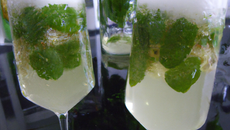 Mojito champagne