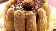 Charlotte au chocolat à l'alcool de noix