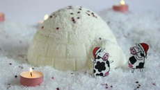 Bûche glacée bio coco-Vanille-Mangue