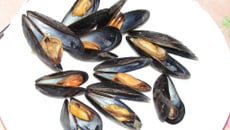 Moule marinière