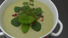 Velouté de cresson de Méréville à la menthe poivrée de Milly-la-Forêt