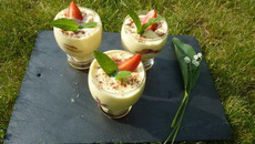 Verrines de tiramisu aux fraises classiques