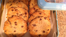 Biscuits au gruau Mollie (sans œuf)