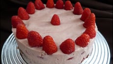Gâteau truffé à la fraise et son biscuit au chocolat