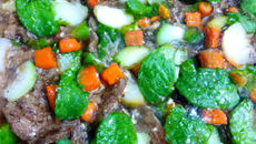 Le michoko de morondave