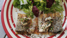 Filets de rouget à la tapenade et tuiles de parmesan accompagnés d'un mesclun