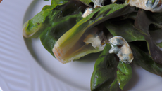 Salade de chicorées des prés au fromage de chèvre et à l'ortie