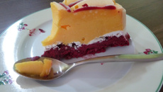 Vacherin glacé mangue- fruits rouges