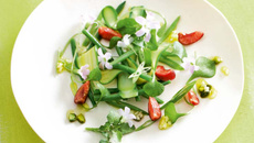 Salade de courgettes haricots cerises et sauce pistache