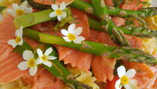 Salade de Farfalle au saumon et asperges