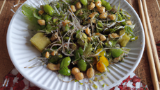 Salade de germes de soja facile