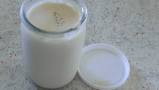 Yaourt au lait de chèvre à la vanille