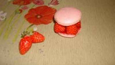 Macaron pavot Guariguette et sirop de coquelicot