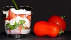 tomate mozza espumatée