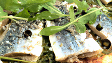 Comme une pizza aux sardines, quelques herbes