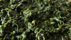 Pâtes aux épinards