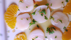 Carpaccio de Saint Jacques à la mandarine
