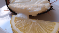Crème de coco de Paimpol citronnée, darne de lisette grillée à la sarriette