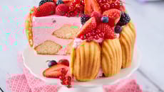 Charlotte de Madeleines & mousse de fruits rouges