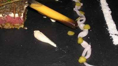 Tartare de Bœuf revisité