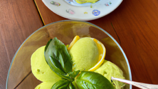 Sorbet au basilic
