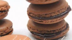 Macarons à l'orange et pralinoise