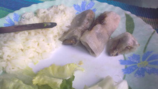 Nems aux champignons