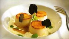 Noix de Saint-Jacques poêlées aux panais et aux truffes