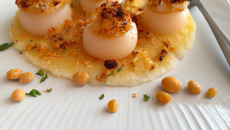 Noix de St Jacques au pineau des Charentes