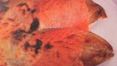 Gratin d'endives au saumon fumé