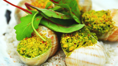Escargots en croûte de pistache