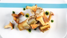 Ficelles Picardes aux endives braisées