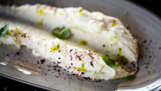 Purée de céleri au Companion