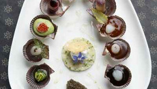 Pétoncle de la rade de Brest en palette de goûts