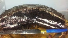 Forêt noire express