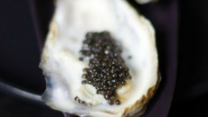 Huitres écume de caviar