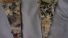 Tarte aux brocolis sur lit de roquefort