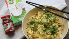 Curry de poulet au lait de coco