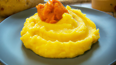 Parmentier aux deux purées