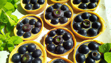 Tartelettes aux myrtilles
