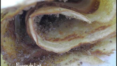 Crêpes à la bière (à la flamande)