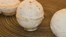 Sphère meringuée et sa mousse aux marrons