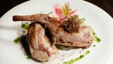 Bécasse au roi Chambertin