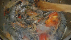 Dombrés aux crevettes façon prisca