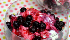 Panna montata aux myrtilles