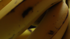 Bananes dans leur peau