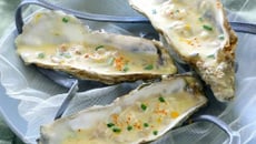 Céviche d'huitres aux agrumes et Fromagères Thon & St Môret