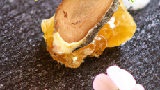 Le foie gras et la fleur de truffe sur lit de gelée