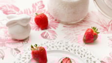 Fraise-Pop's glacés à la Charlotte Label Rouge et au Yaourt